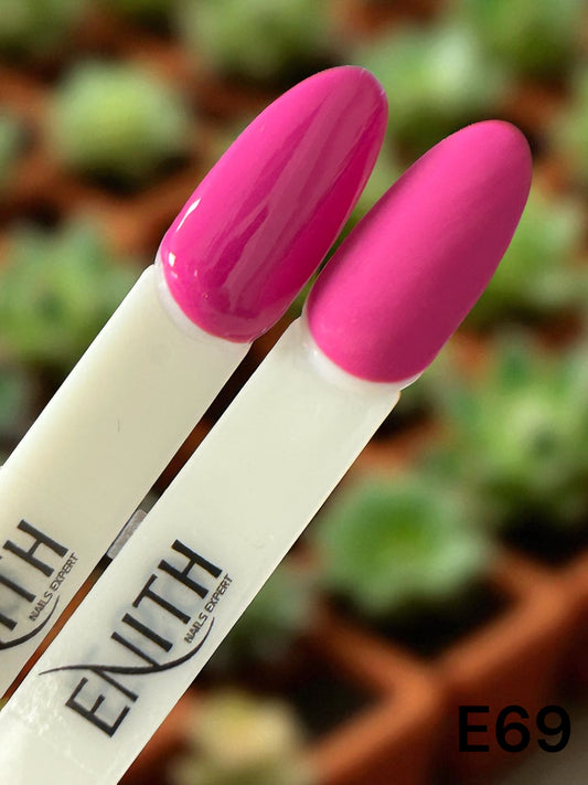 Gel polish 10 g - E69